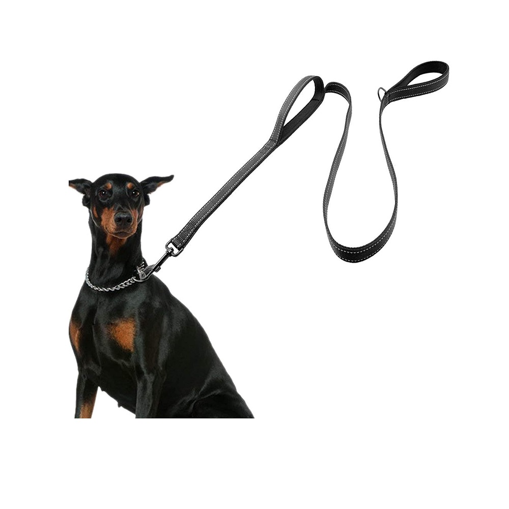 dog leash