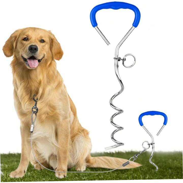 dog leash