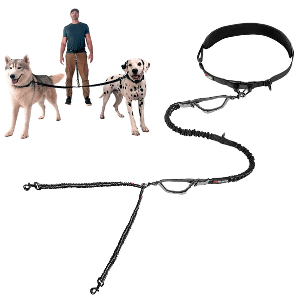 dog leash