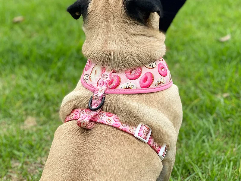 dog leash pink