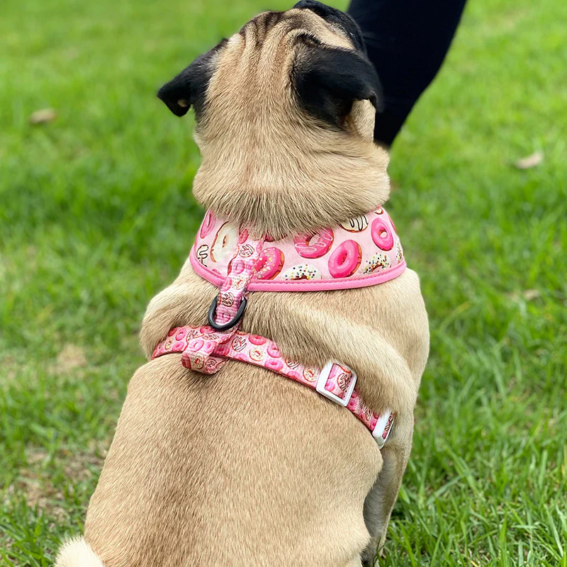 dog leash pink