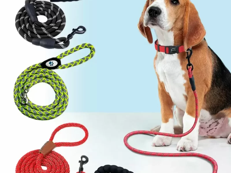 dog leash climbing rope