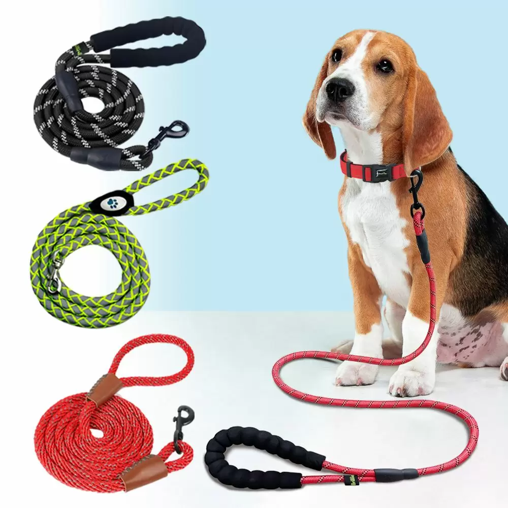 dog leash climbing rope