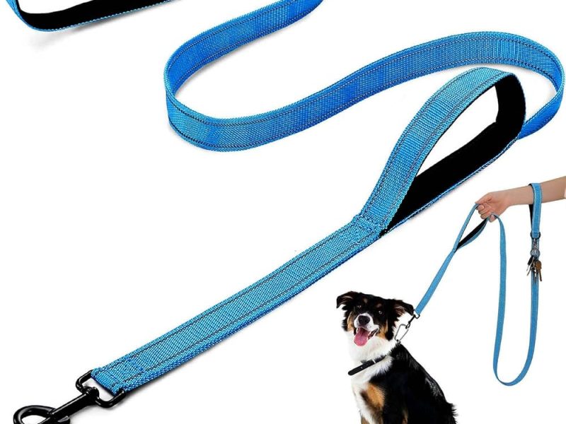 nylon dog leash