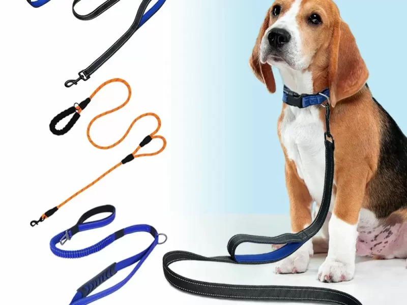 dog leash two handles