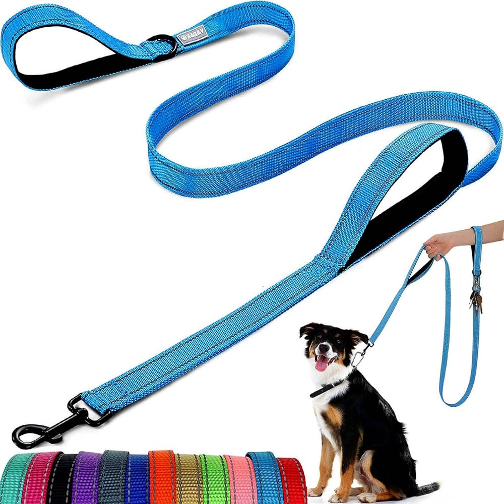 nylon dog leash