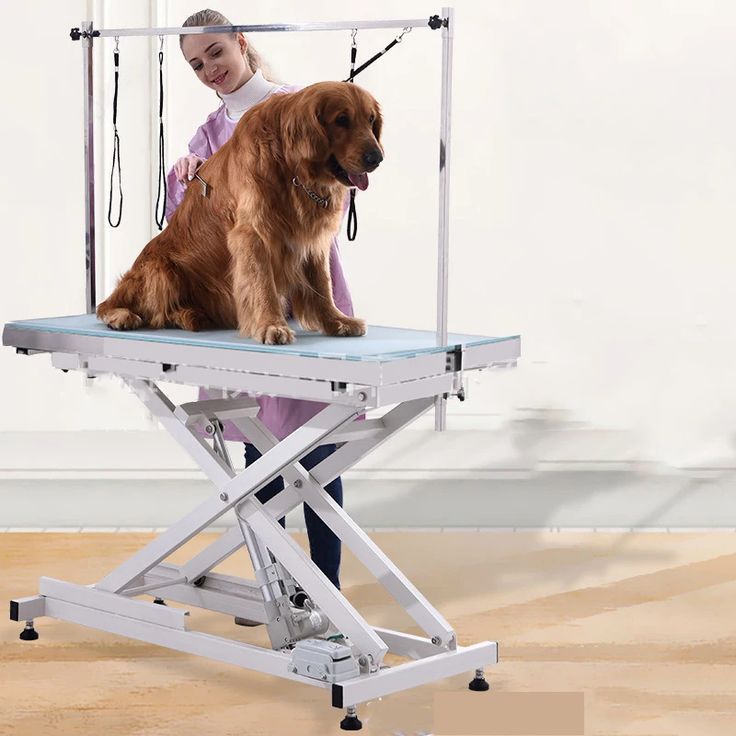 adjustable dog grooming table