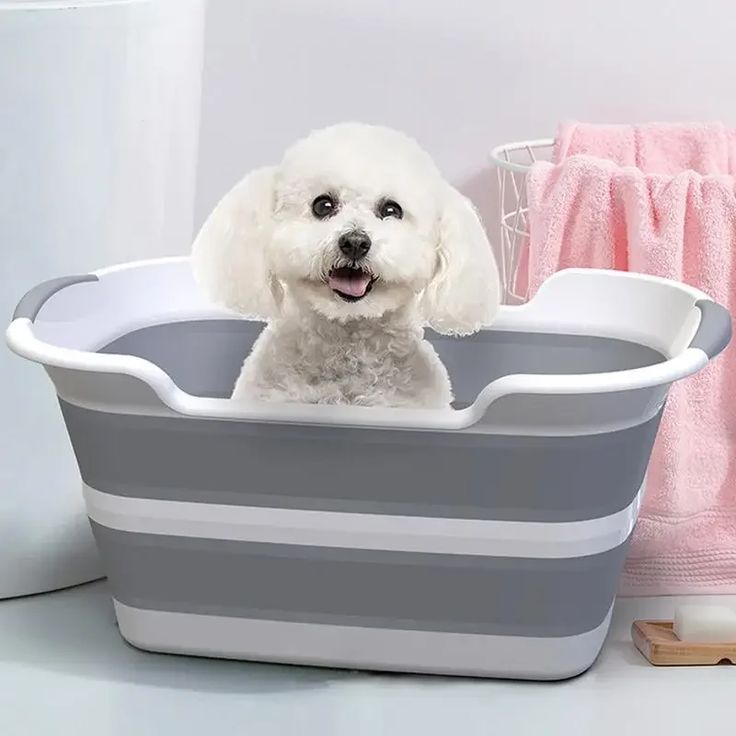 dog grooming tub