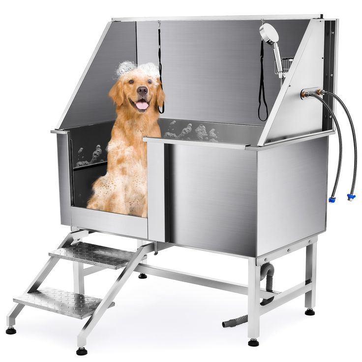 pet grooming station