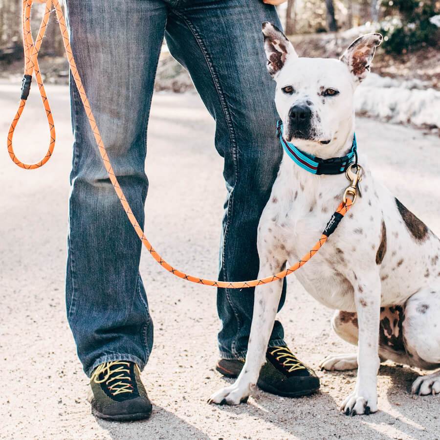 dog leash climbing rope