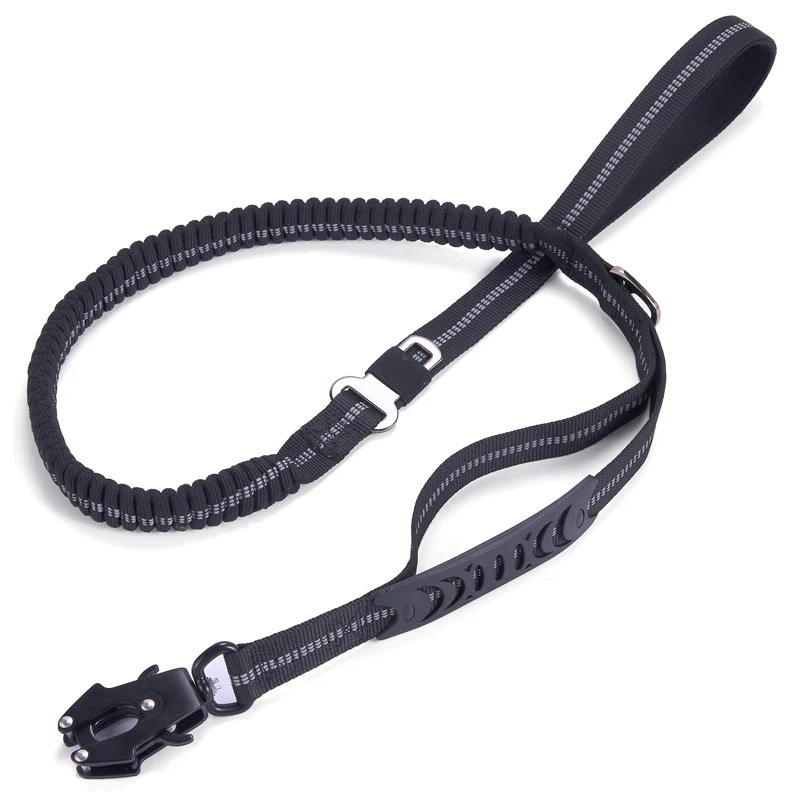 bungee cord dog leash