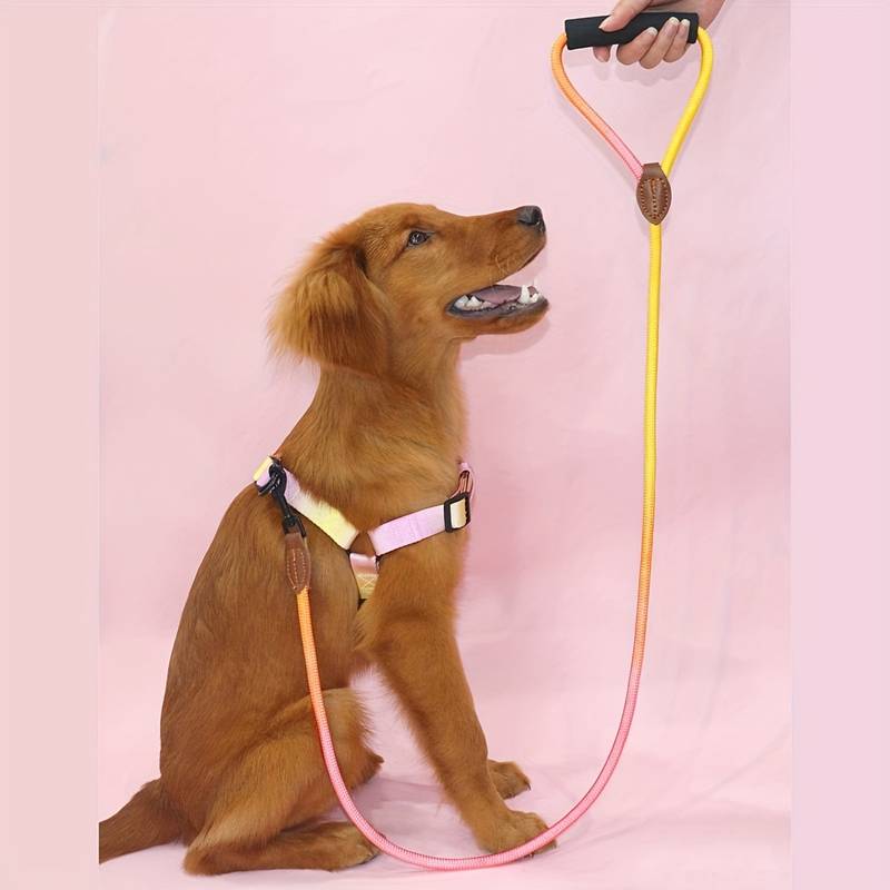 dog leash pink