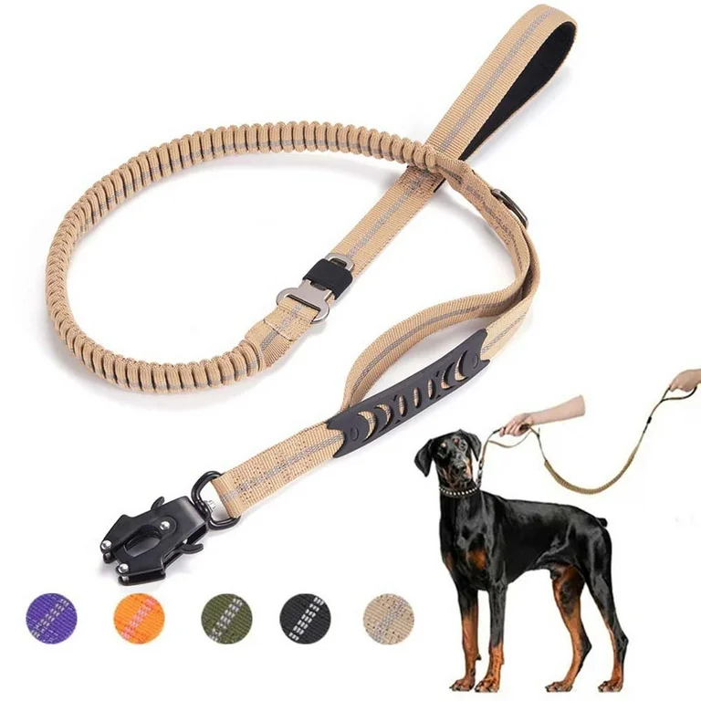 dog leash two handles