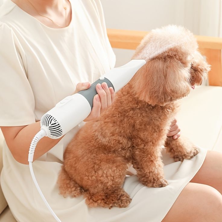 dog grooming dryer