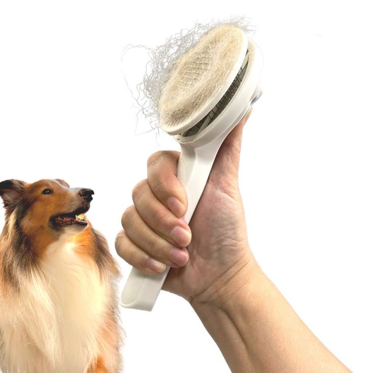 types of dog brushes