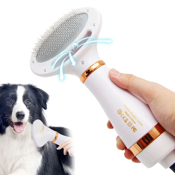 DIY dog grooming