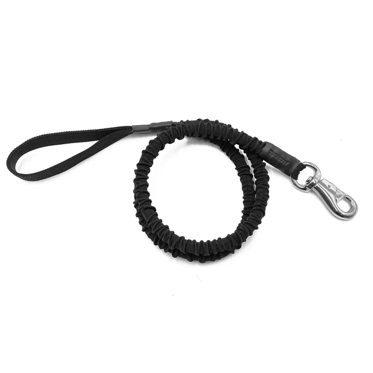 dog leash