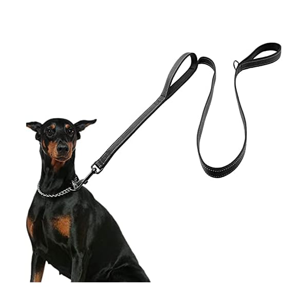 dog leash