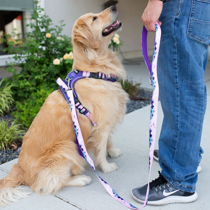 durable long lead dog leash