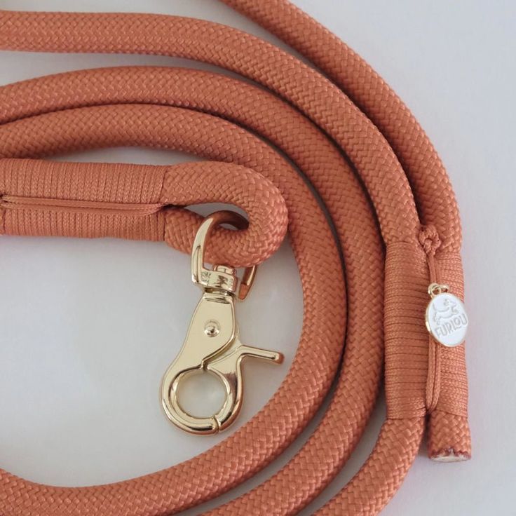 training with long lead dog leash