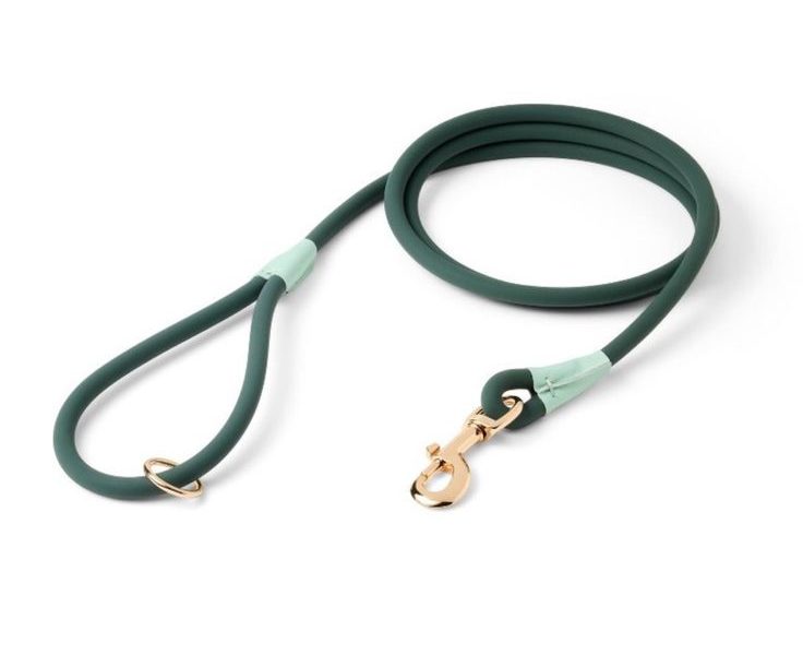 green dog leash