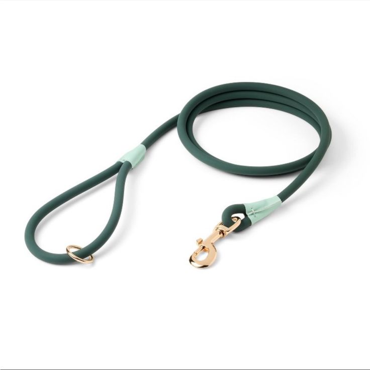 green dog leash