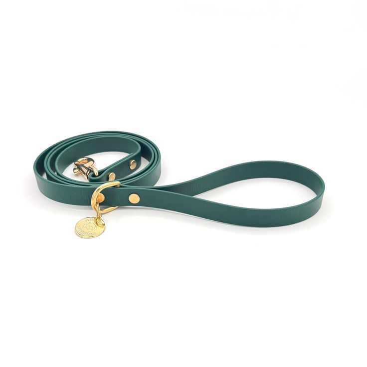 durable green dog leash