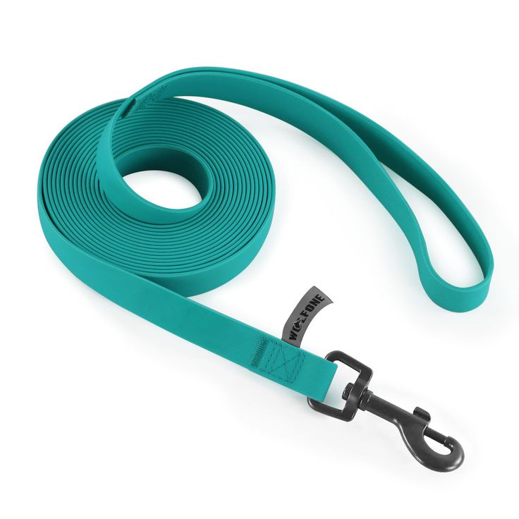 stylish green dog leash