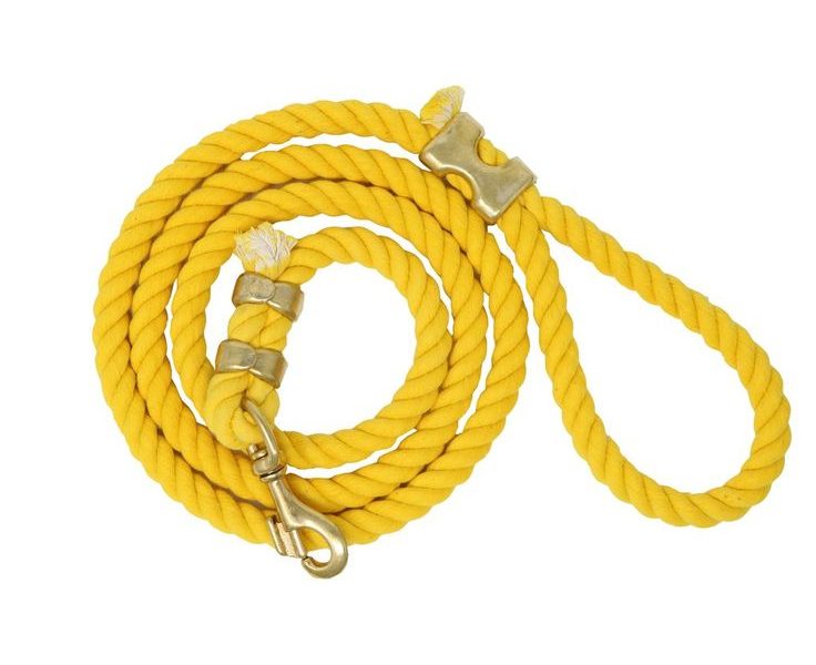 yellow dog leash