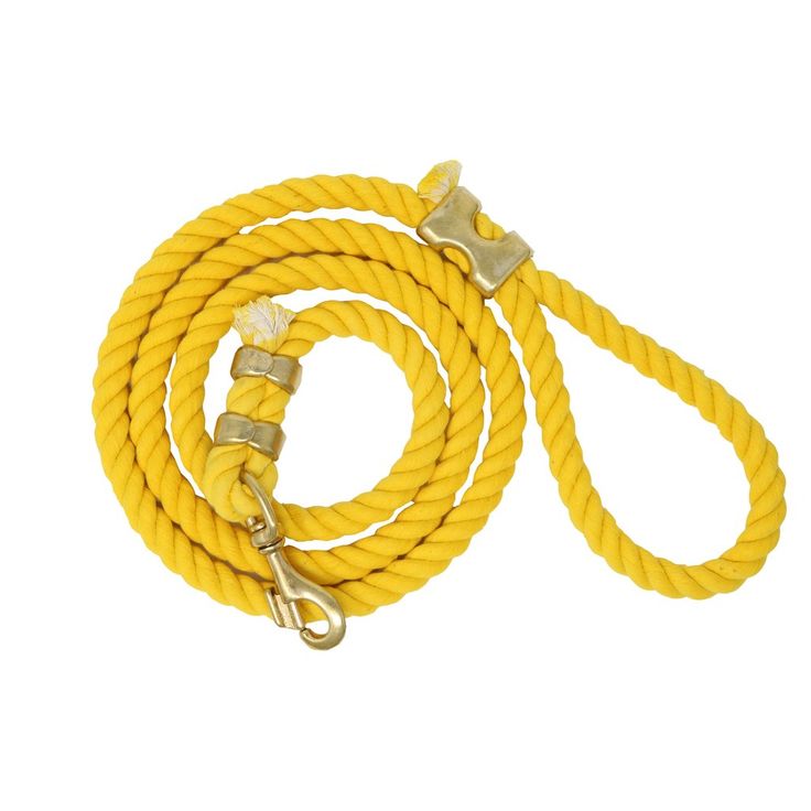 yellow dog leash