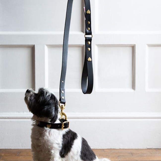 high-quality dog leashes