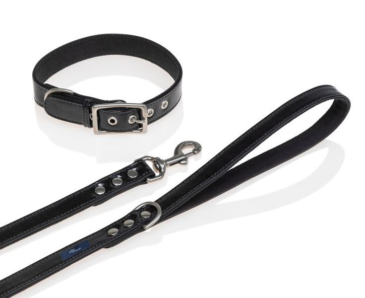 black dog leash and collar