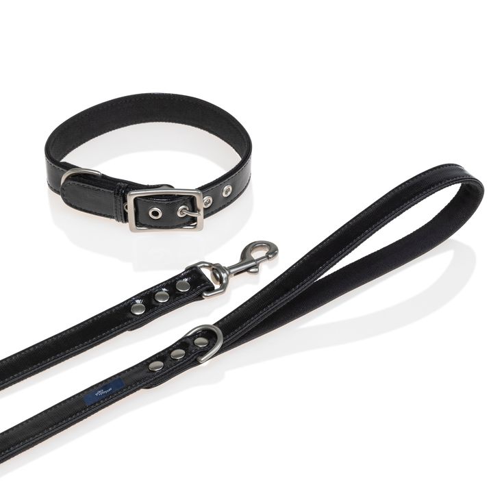 black dog leash and collar