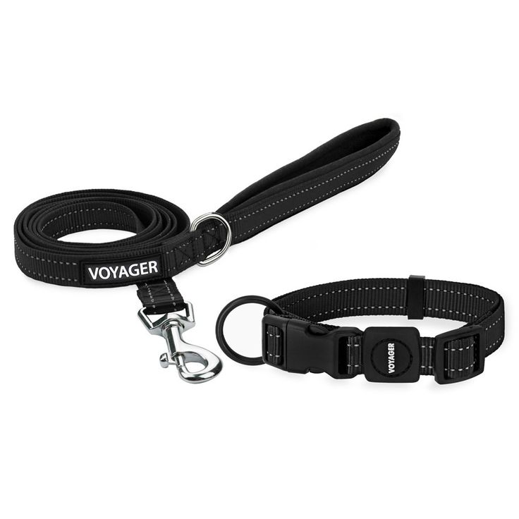 premium black pet leash and collar