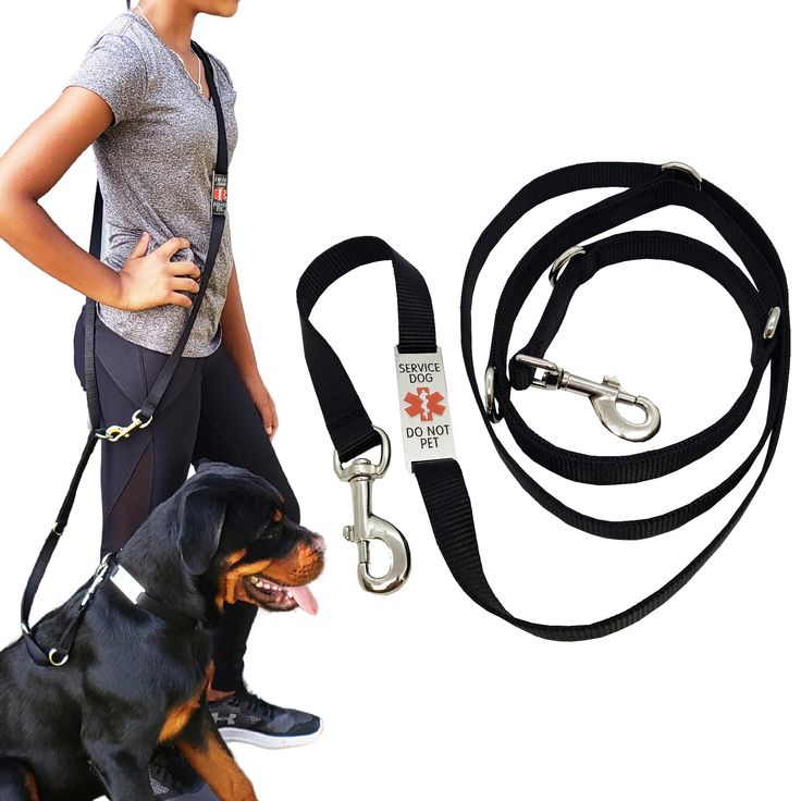 service dog leash wrap