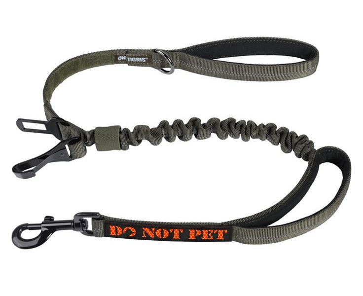 bungee dog leash