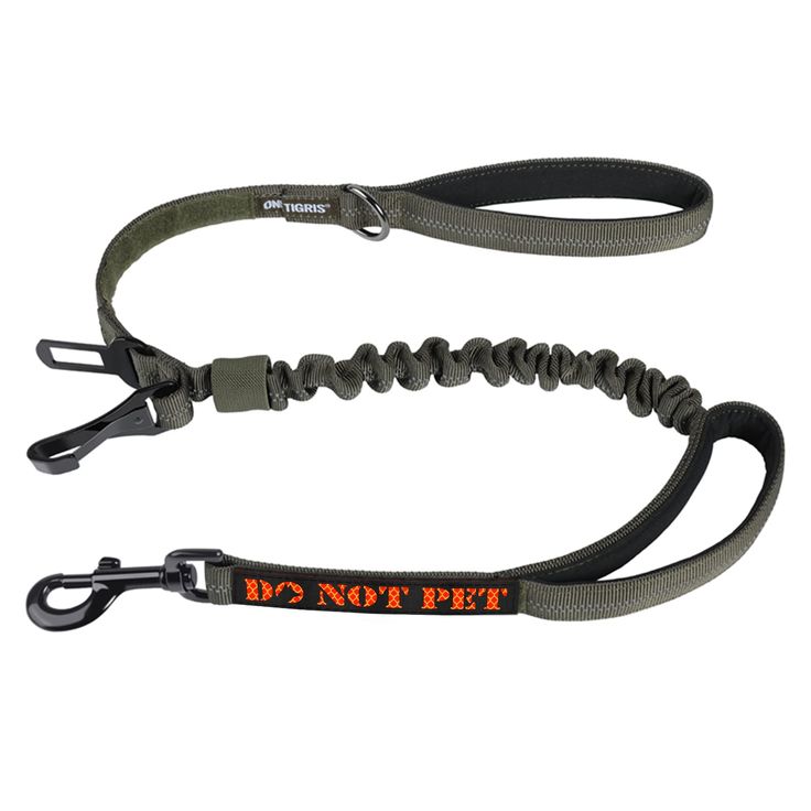 bungee dog leash