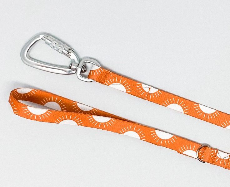 orange dog leash