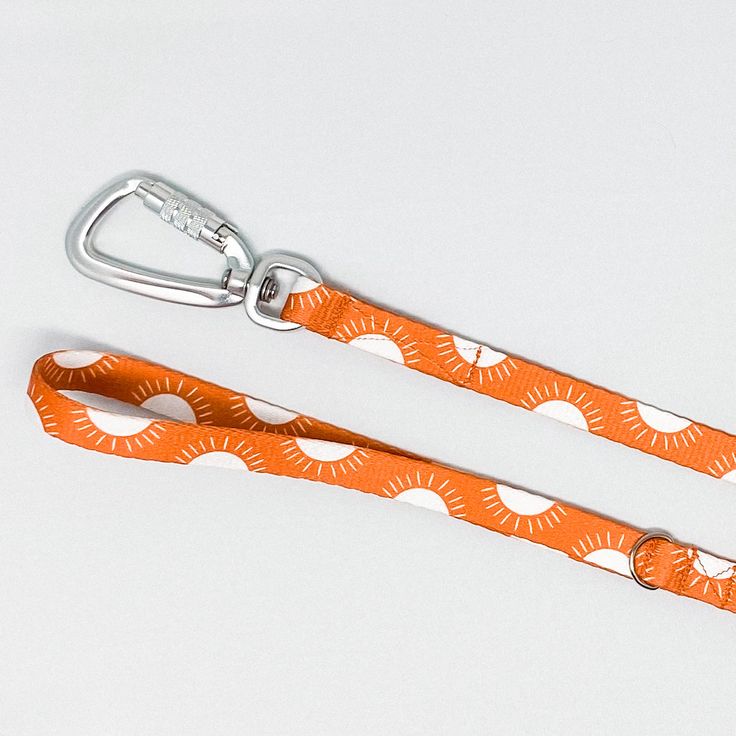 orange dog leash