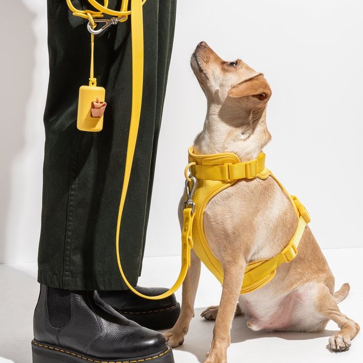 heavy duty dog leash