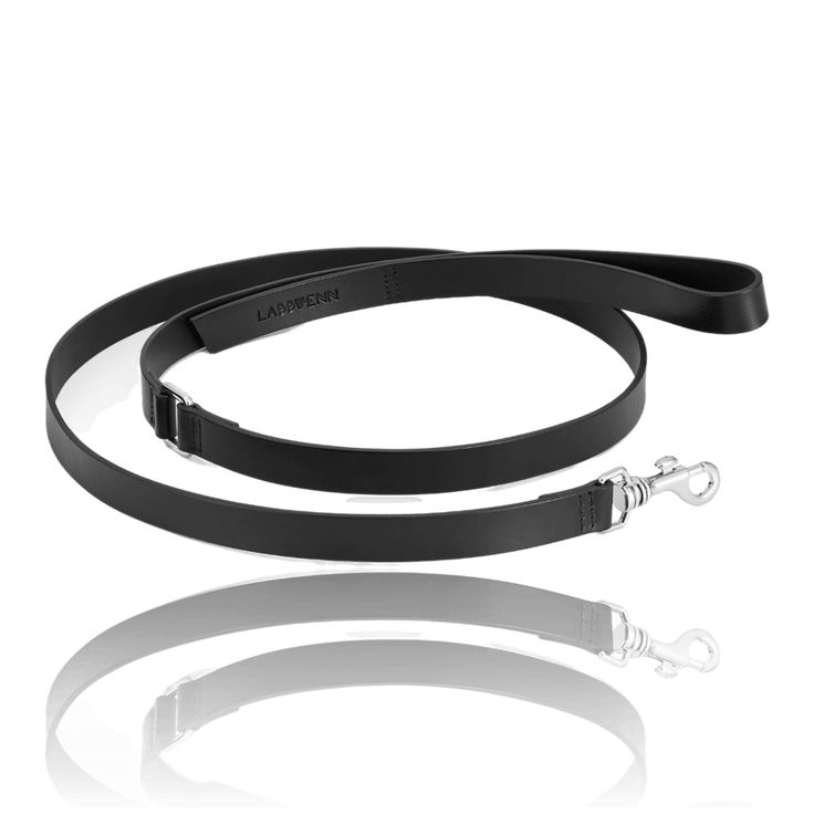 black dog leash