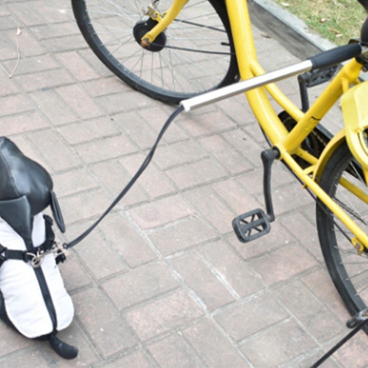 cycle leash for dogs