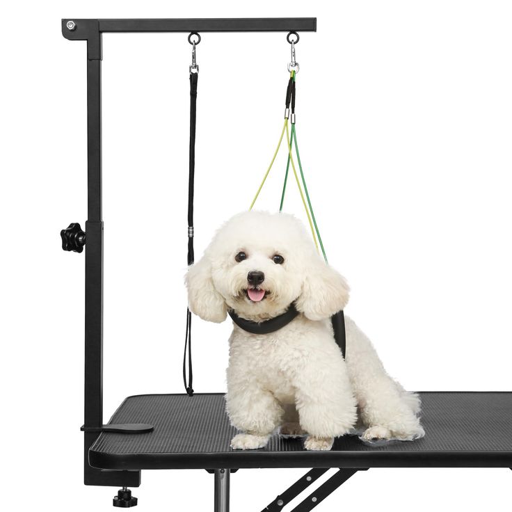 dog grooming hammock