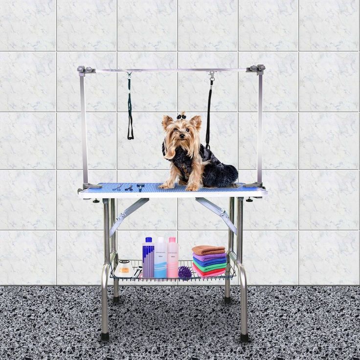 dog grooming table