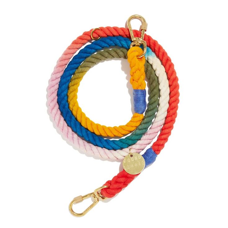 best dog leash for small dogs