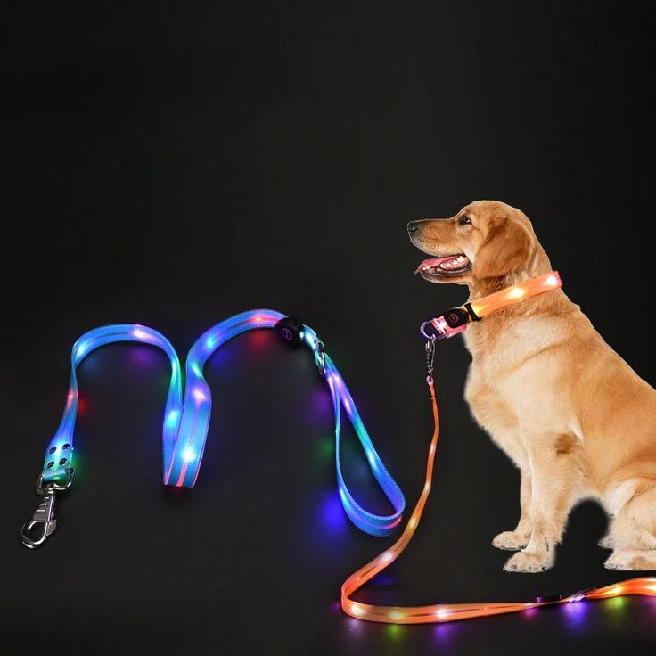 reflective dog leash