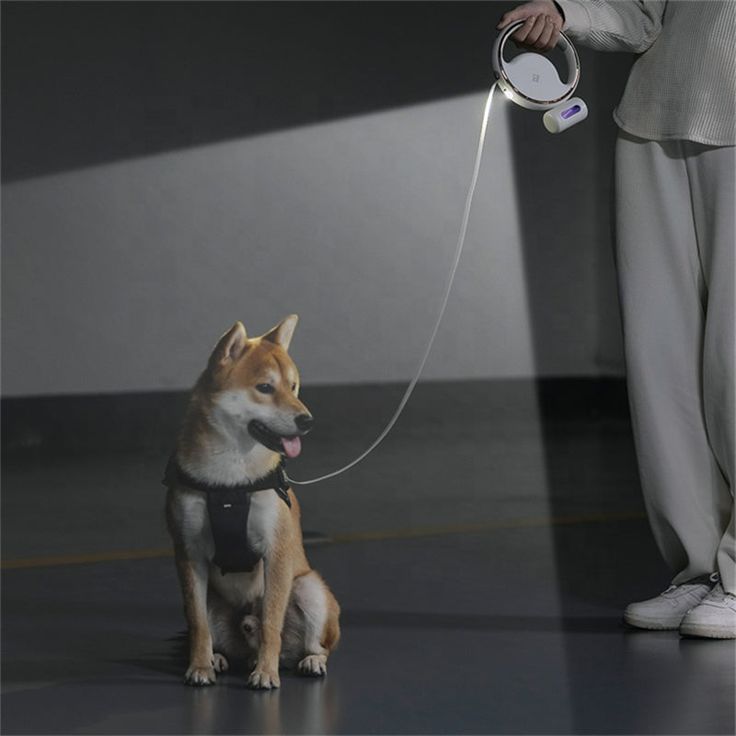 longest retractable dog leash