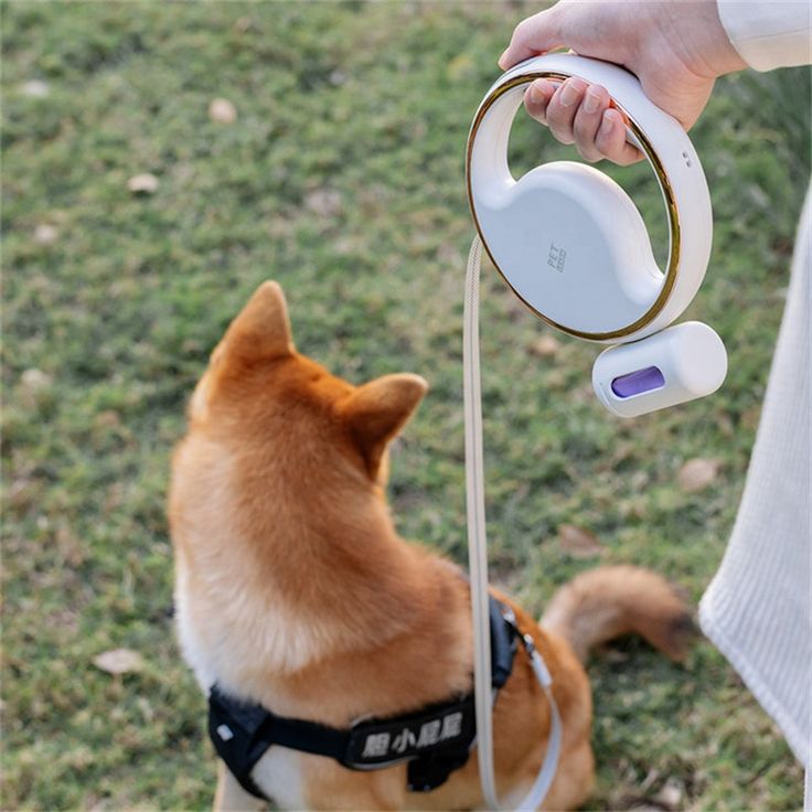 strong retractable dog leash