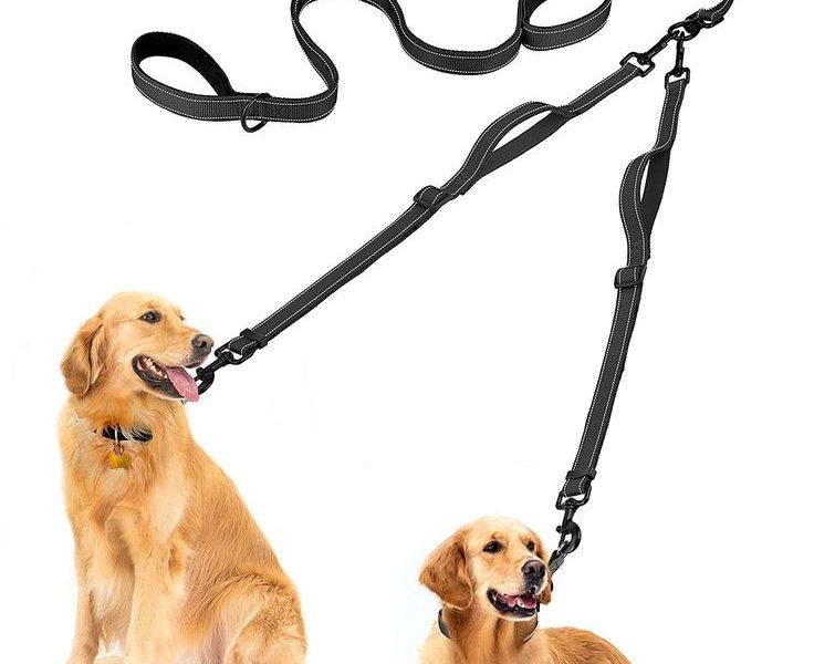 double handle dog leash