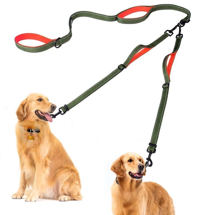 dual control dog leash